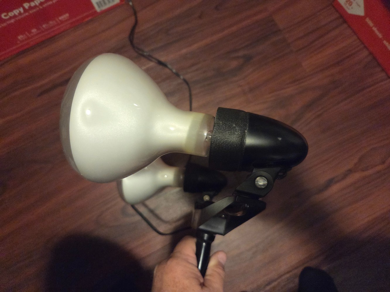Vintage Toshiba Photography Handheld Light – Dual Bulbs – 10A250V – Works!