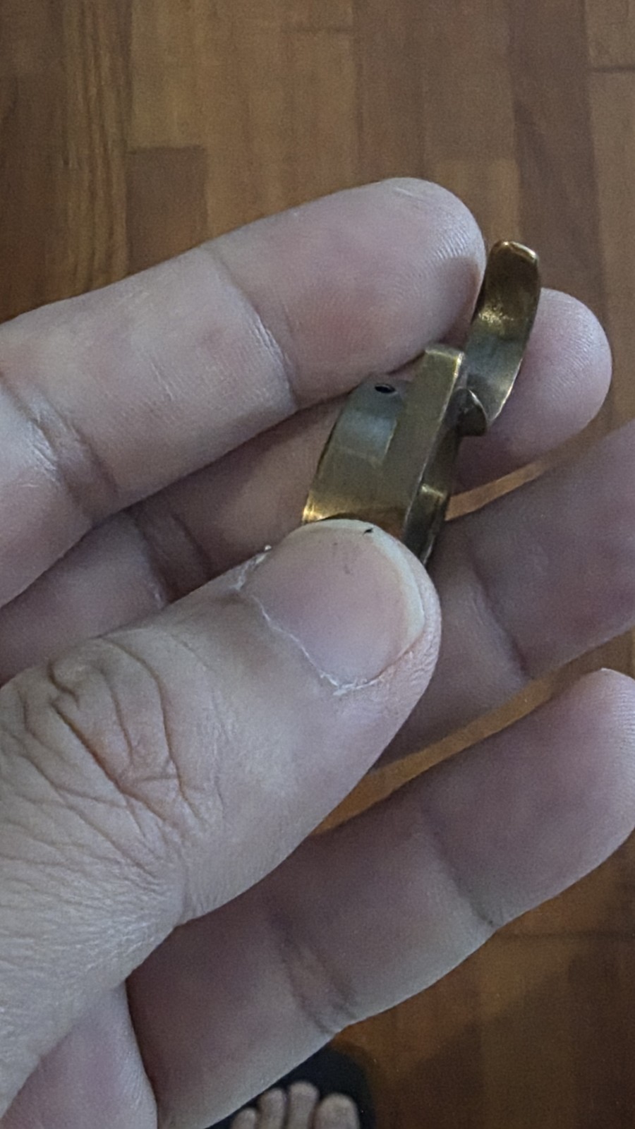 leica rapid advance lever shutter camera (Brass)