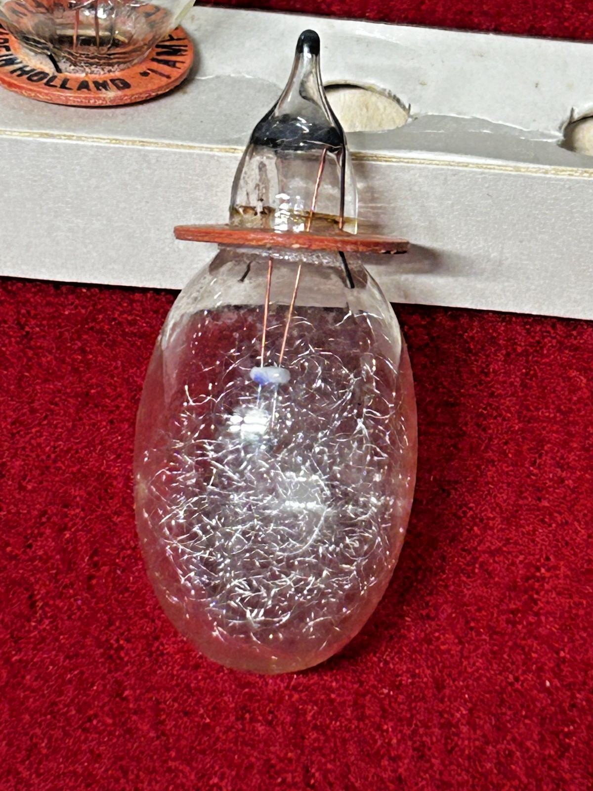 Amplex My-T-Myte Photo Flashbulbs PF-1 Class M (23 bulbs total)