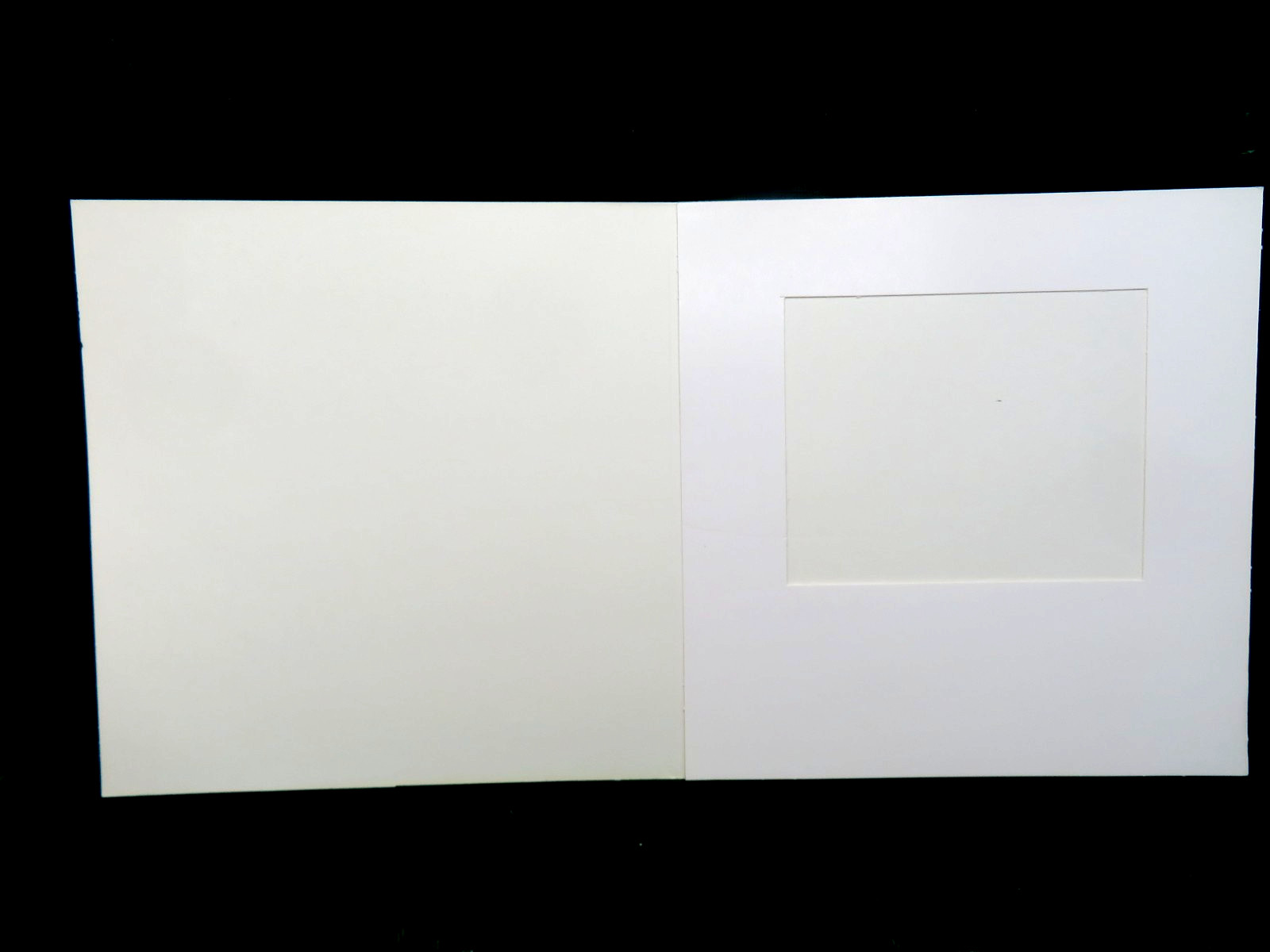 Vintage Lot of 50 D974D Polaroid Spectra Cardboard Print Photo Mounts 1-616506