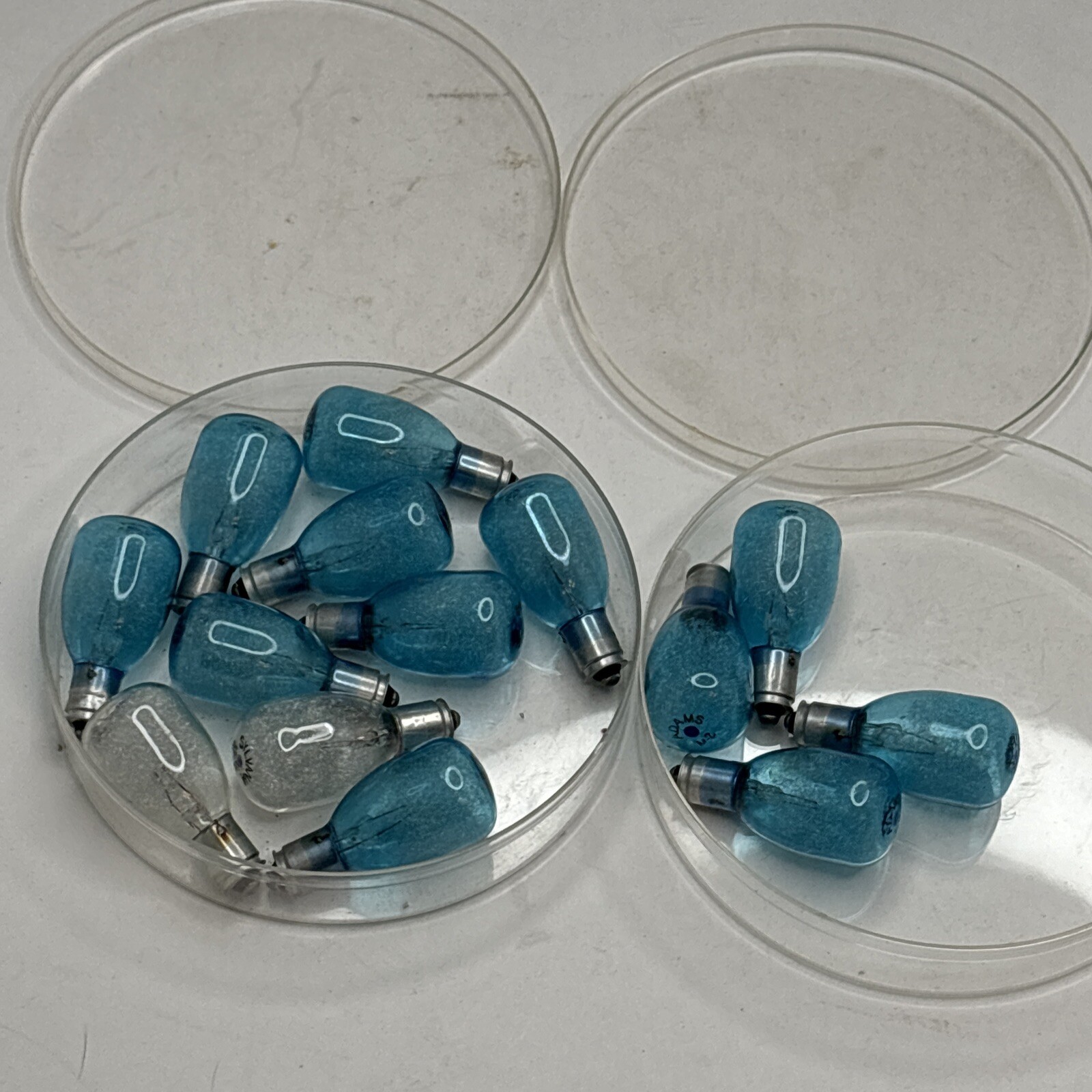 Vintage Sylvania Blue Dot Press Flashbulbs Mixed Lot Of 32 M3B M-28 M-2B Retro