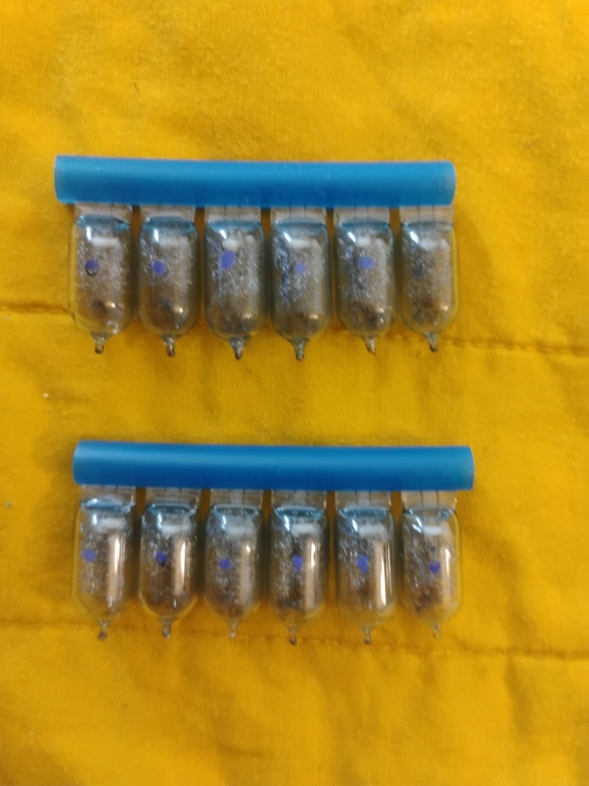 Vintage GTE Sylvania Blue Dot Daylight Color AG1B Camera Flashbulbs (12 Pack)