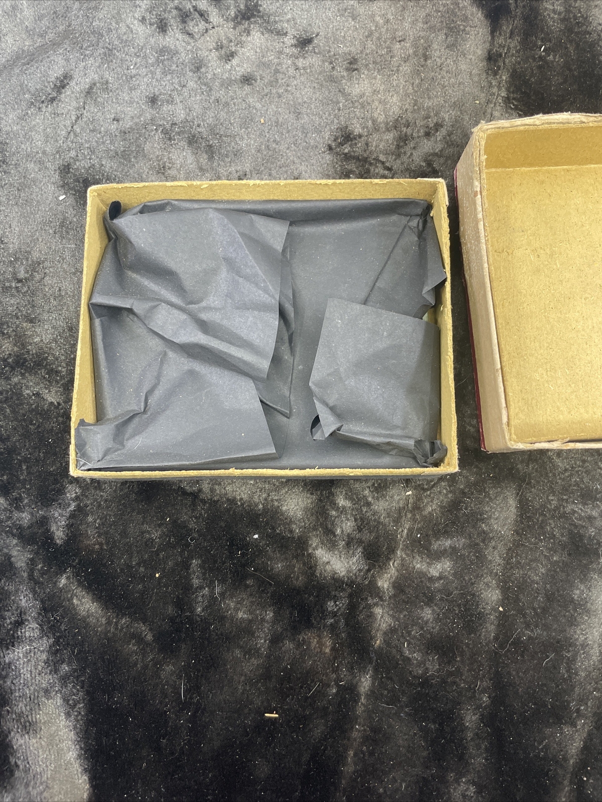 Antique HAMMER DRY PLATE CO. Photographic Plates / Tacoma Seattle Camera Store